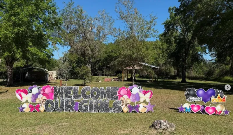 New baby yard greeting display